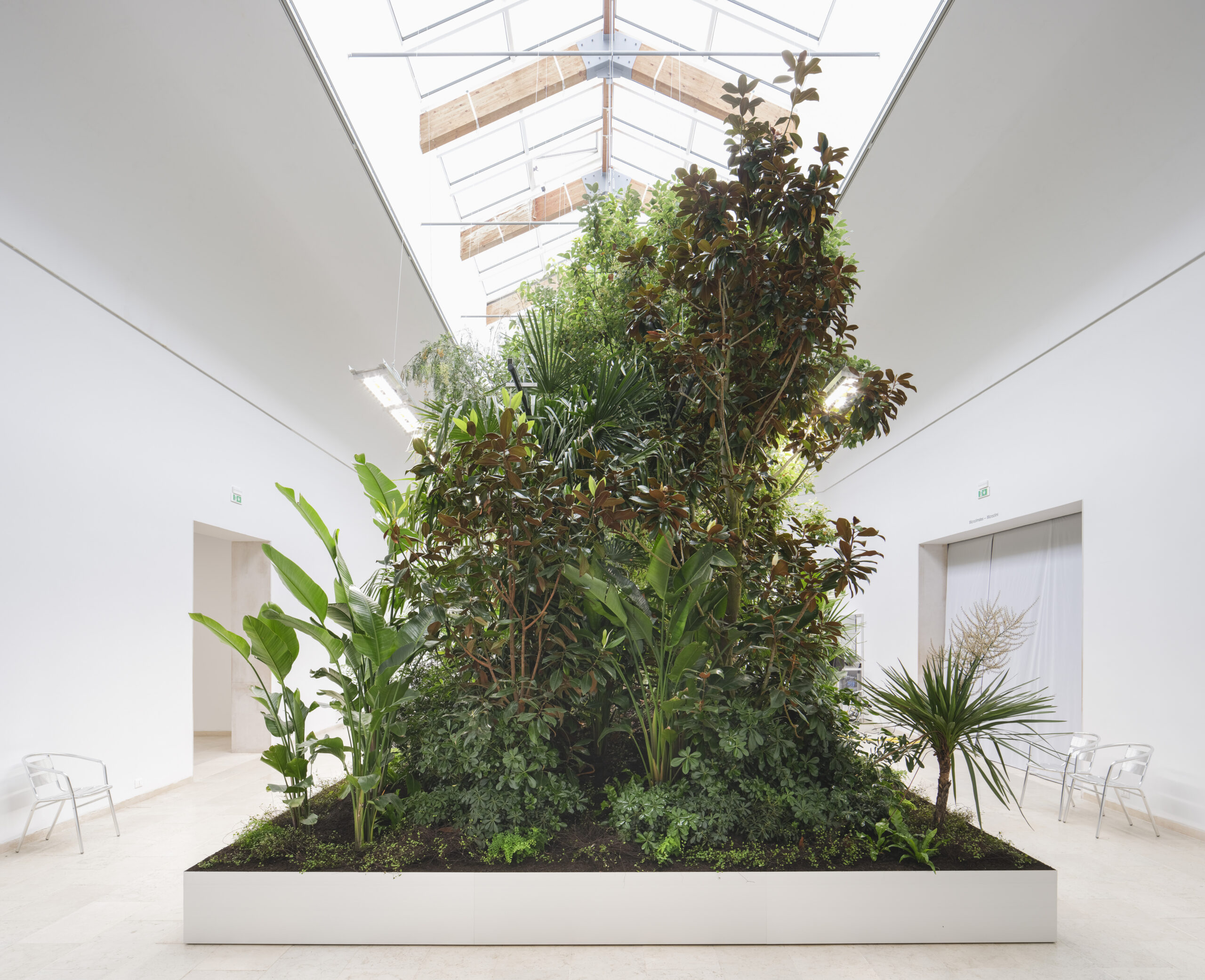 image of a giant planter inside of an all white room