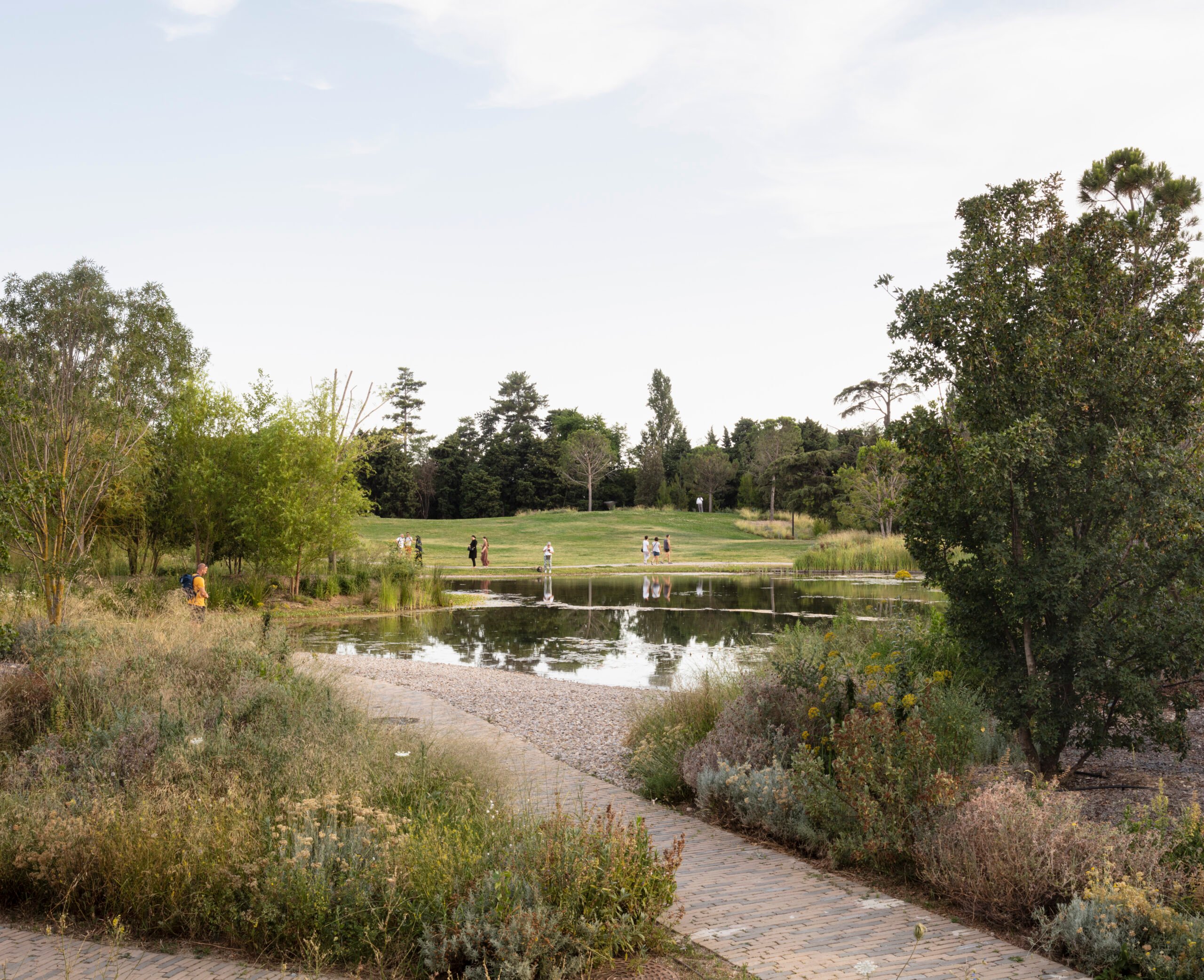 Image of a park with a pond and trees