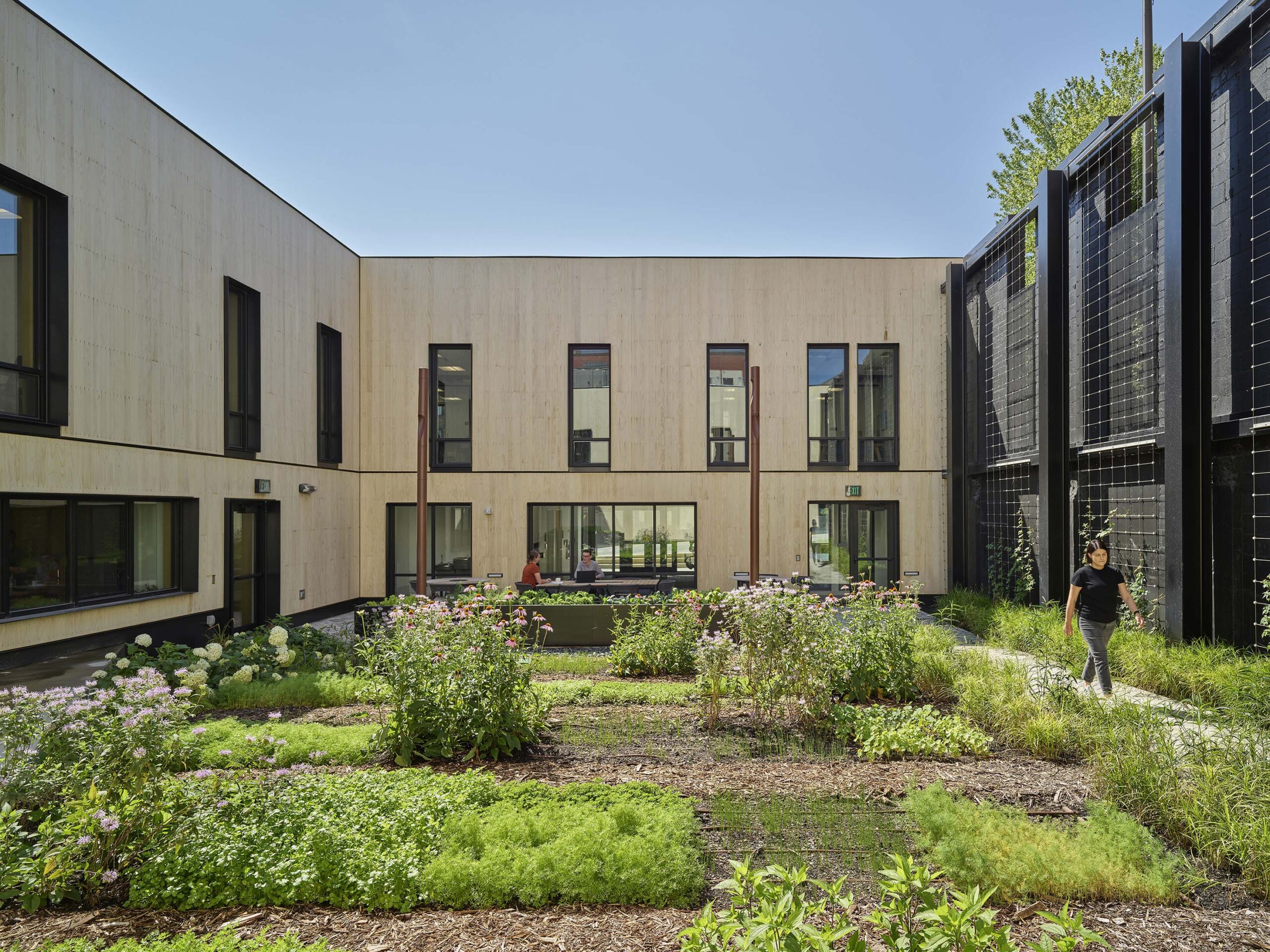 An outdoor space covered with lush greens in the centre of the stanley centre.
