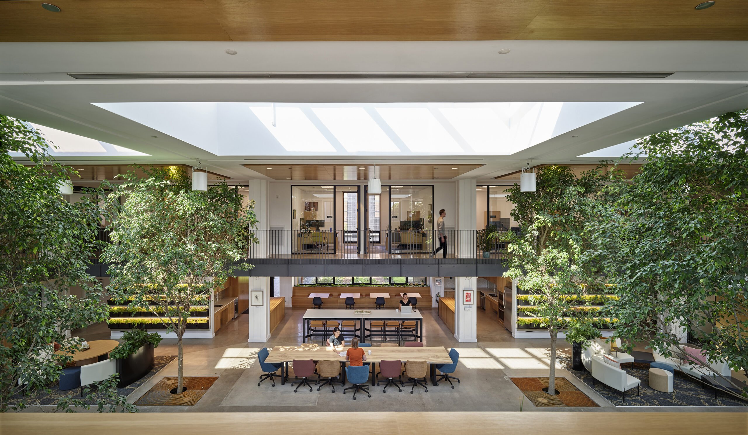 An open floor layout office space in the stanley centre with better sustainable furniture choices made by adding a long co working table and multiple trees to bring in the outdoors inside. 